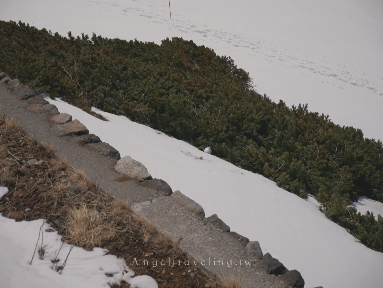 立山黑部46