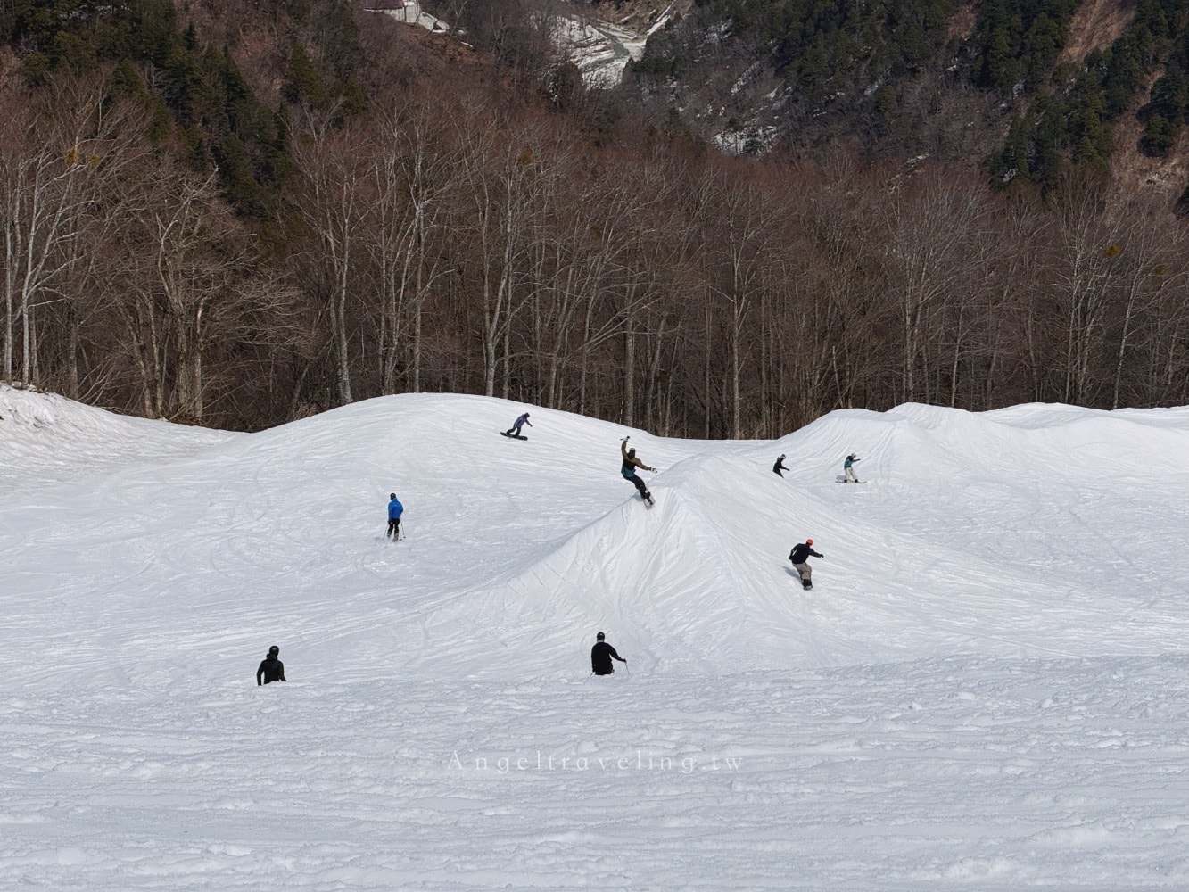 白馬滑雪場推薦🏂Hakuba Valley(白馬山谷)怎麼選？10大雪場中必去4大滑雪場攻略！